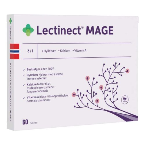 Lectinect Mage