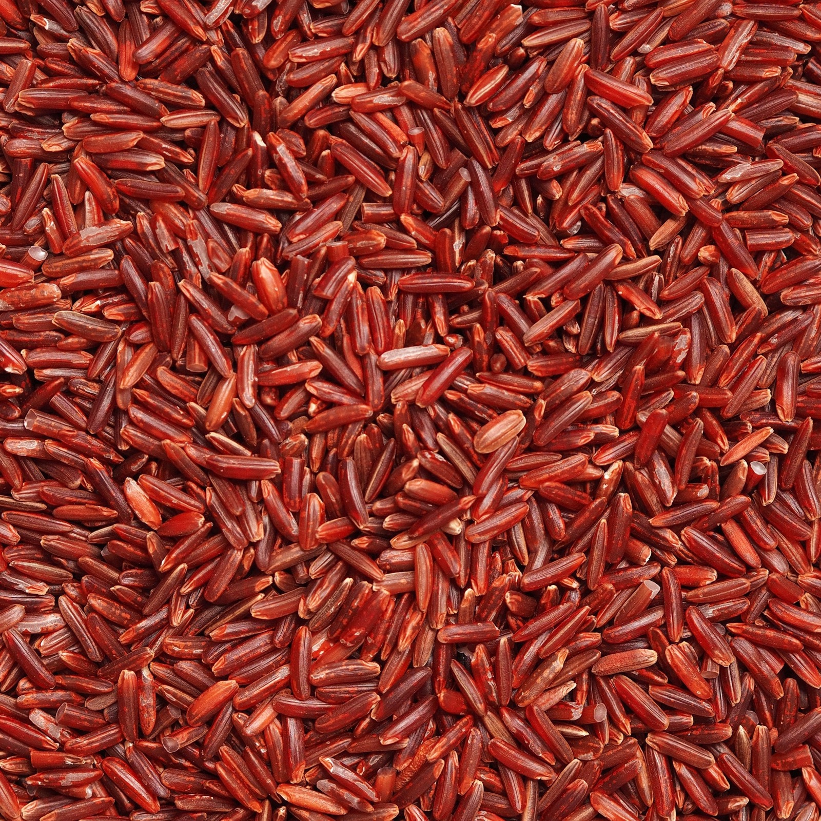 Røde risgryn i nærbilde