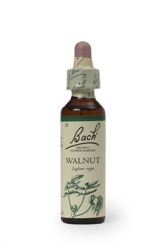 sunkost_Bach_20Walnut.jpg